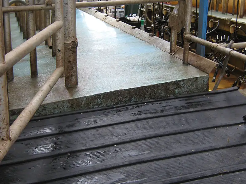 Tapis de pont en caoutchouc pour sécuriser une rampe d'accès animaux